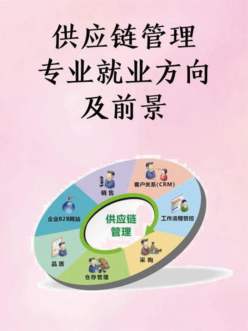 智信博贸易有限公司：引领行业未来